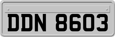 DDN8603