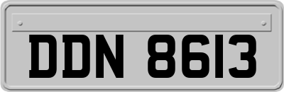 DDN8613