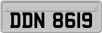 DDN8619