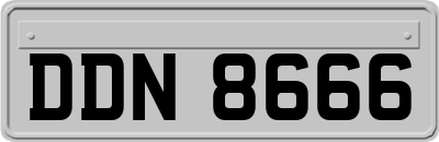 DDN8666