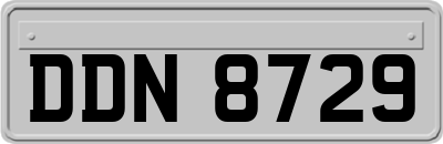 DDN8729