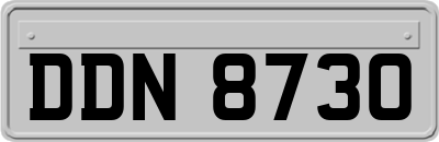 DDN8730
