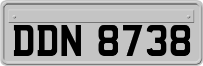 DDN8738