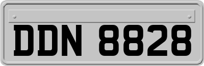 DDN8828