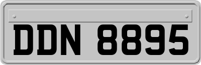 DDN8895