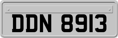 DDN8913