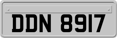 DDN8917