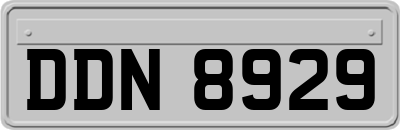DDN8929