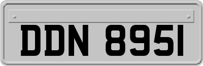 DDN8951