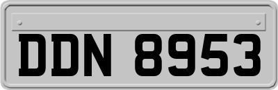 DDN8953
