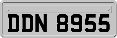 DDN8955