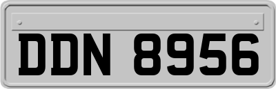 DDN8956