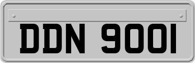 DDN9001