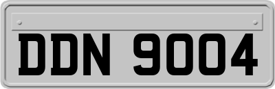 DDN9004