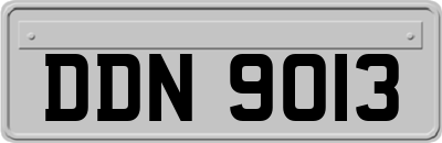 DDN9013