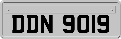 DDN9019
