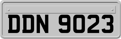 DDN9023