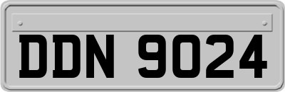DDN9024