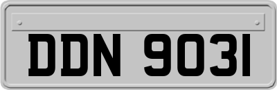 DDN9031