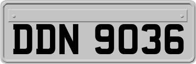 DDN9036