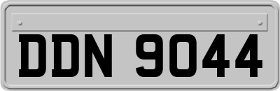 DDN9044