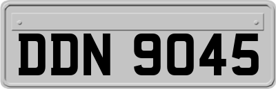 DDN9045