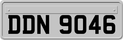 DDN9046