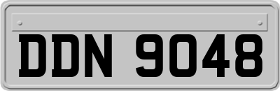 DDN9048