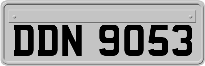DDN9053