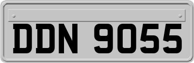 DDN9055