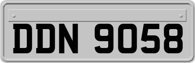 DDN9058