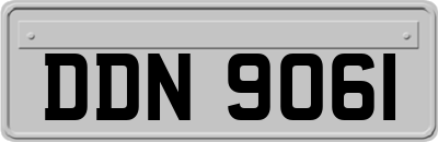 DDN9061