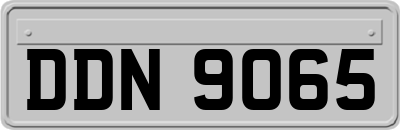 DDN9065