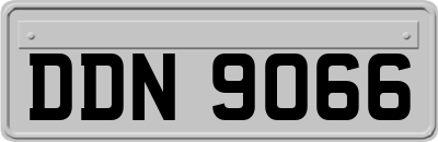 DDN9066
