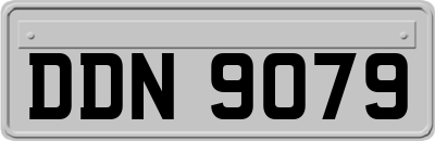 DDN9079