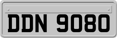 DDN9080