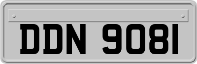 DDN9081