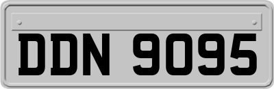 DDN9095