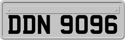DDN9096
