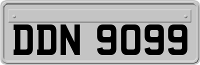 DDN9099