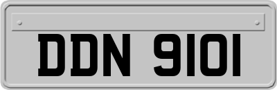 DDN9101