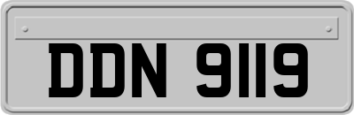 DDN9119