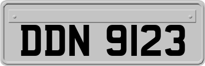 DDN9123