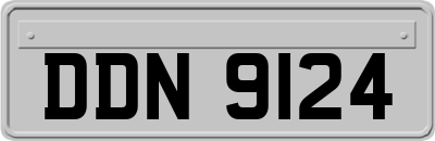 DDN9124