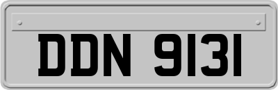 DDN9131
