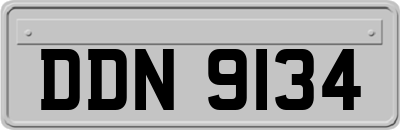 DDN9134