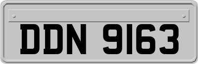 DDN9163