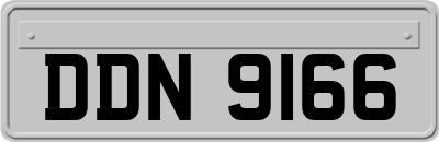 DDN9166