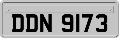 DDN9173