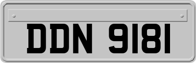 DDN9181